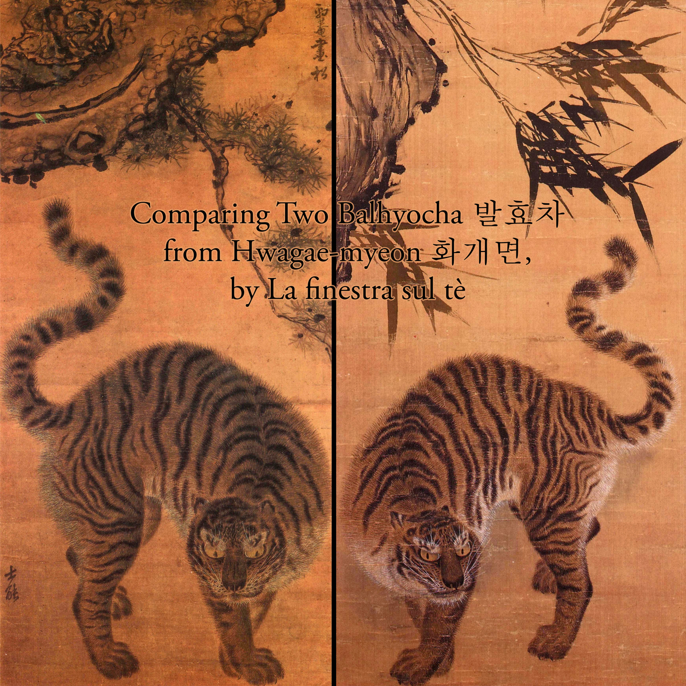 Comparing Two Balhyocha 발효차 from Hwagae-myeon 화개면, by La finestra sul tè