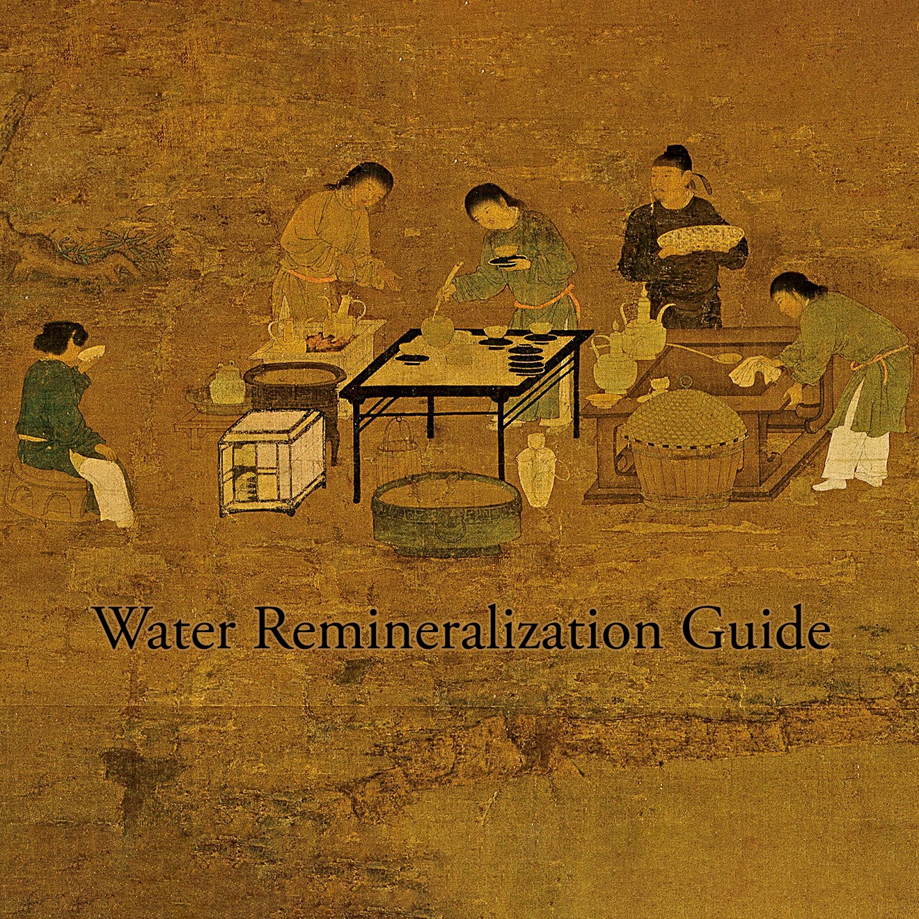 Water Remineralization Guide